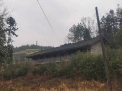 男子被指侵占他社集体公屋和山林土地