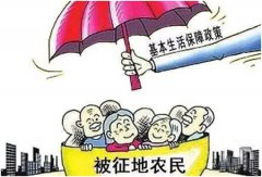 请求落实征地补偿政策，维护失地村民正当权益	