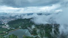 东莞市相关部门弄虚作假，违法违规发放