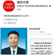 朱东亚投案：曝出河南新乡顶着35项违法